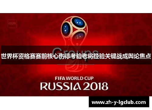 世界杯资格赛赛前核心伤停考验老将经验关键战成舆论焦点