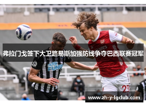 弗拉门戈签下大卫路易斯加强防线争夺巴西联赛冠军